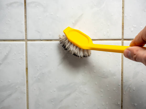 Best Residential Mold Remediation in Metamora, IL